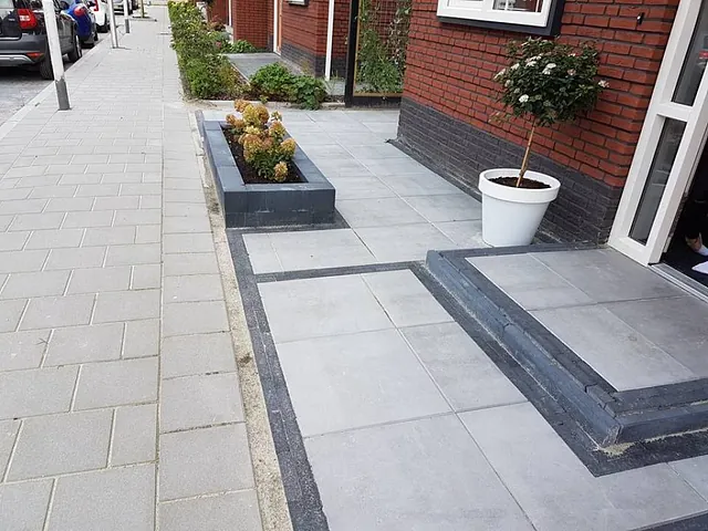 Van der Veer