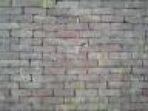 betegelen; tuin betegelen; 